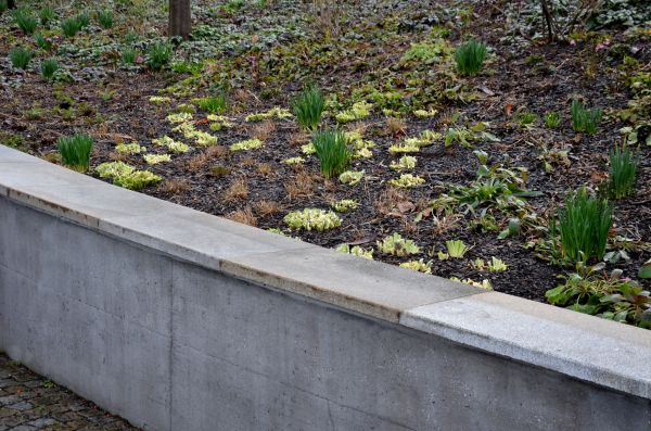Concrete Wall Construction in Cartersville