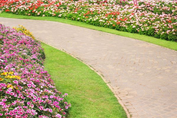 Concrete Walkway Service in Cartersville